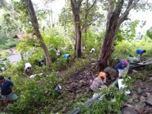 BERSERAKAN: Akibat truk terguling, udang yang dimuat berserahkan di tanjakan.