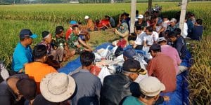 Danramil 05 Kepanjen Ikut Tasyakuran Petik Padi Bersama Para Petani