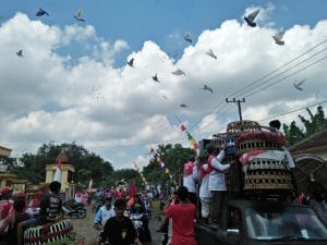 Ribuan merpati memenuhi langit Sidomulyo kecamatan semboro kabupaten jember