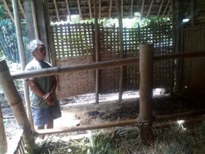 Setelah Lumajang kini Jember Marak Pencurian Sapi