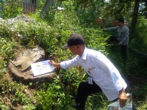 Kayu Sono Keling Dijalur Nasional Raib, Dinas Kehutanan Pemprov Jatim Cek Lapangan