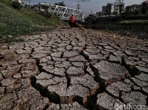 15 Kabupaten Jatim Berstatus Siaga Darurat Kekeringan