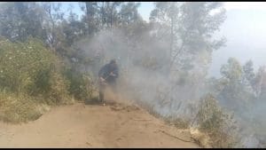 22 Hektar Lahan Gunung Panderman Hangus Terbakar