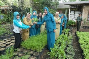 PKK Kota Fokus Garap Urban Farming