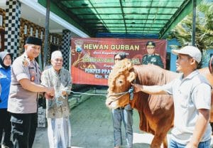 Ponpes Tertua di Kabupaten Malang Terima Hewan Qurban Sapi Kapolda Jatim
