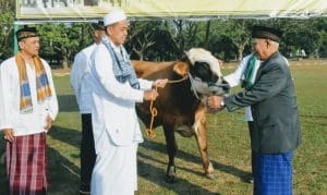 Danrem 083/BDJ Serahkan Hewan Qurban Sapi Usai Sholat Idul Adha Berjamaah