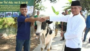 Kodim 0818 Menyembelih Tiga Ekor Hewan Kurban Sapi