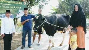 Ketua Persit Kodim 0818 Serahkan Hewan Kurban Sapi Mewakili Dandim 0818 Yang Sedang Menunaikan Ibadah Haji