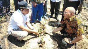 Potensi Ekonomi Pamekasan Mendapat Perhatian Kemenko