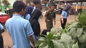 Koramil 0818/23 Jabung Beri Pelatihan Mahasiswa Unisma Budidaya Tanaman  Sayur Dengan  Polybag