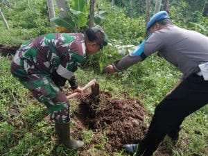 Danramil 11 /Donomulyo Ikut Menanam  Bibit Pohon Dilingkungan Polsek Donomulyo