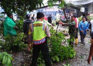 Babinsa Koramil 11/ Donomulyo  Evakuasi Pohon Tumbang Bersama Warga
