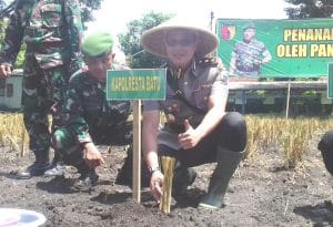 Kapolres Batu Tanam Rumput Vetiver Bersama Pangdam V /BRW
