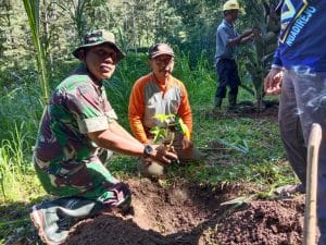 Koramil 0818 /04 Ngantang Laksanakan Penanaman Pohon Bersama Muspika