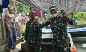 Danramil 0818/13 Kalipare Kunjungi Pertenak Kodok Pedaging