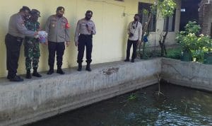 Kampung Tangguh Semeru Aspol Mondoroko Budidayakan Ikan Lele di Tengah Pandemi Covid-19