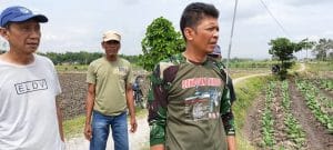 Diduga Ada Penyimpangan, Proyek Jalan Senilai Ratusan Juta Di Desa Sitiaji Sukosewu Disoal Warga