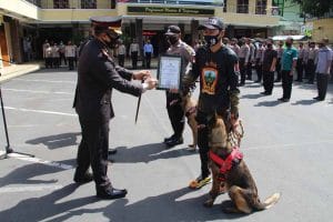 AKBP Deddy Foury Millewa Beri Penghargaan 2 Warga Lumajang