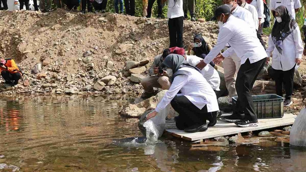 Petani Kembali Tersenyum Berkat Dam Kali Kawat