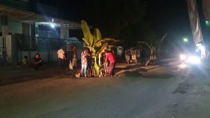 Geram Tak Kunjung Diperbaiki, Warga Talang Tanam Pohon Tengah Jalan