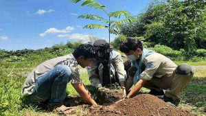 Peringati Hari Bumi, Mahasiswa Pecinta Alam Tanam 1000 Pohon