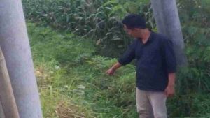 Kejari Jember Didesak Segera Ungkap Kasus Mantan Kades Mangaran