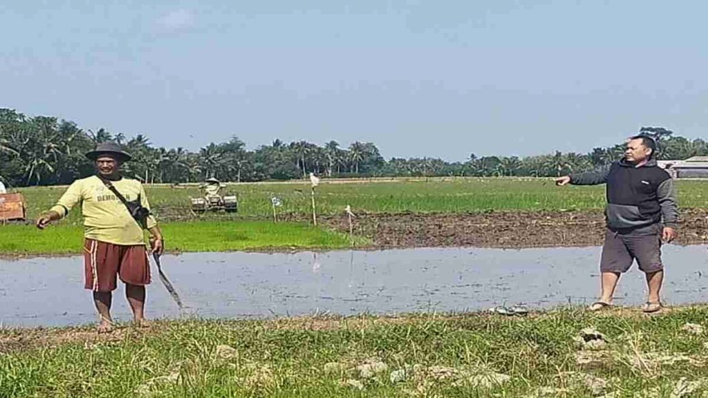 Program Agro Solution Permudah Petani Tingkatkan Hasil Panen