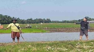Program Agro Solution Permudah Petani Tingkatkan Hasil Panen