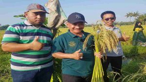 Uji Coba BK-700 Sukses, Hasil Panen Naik Dua Kali Lipat