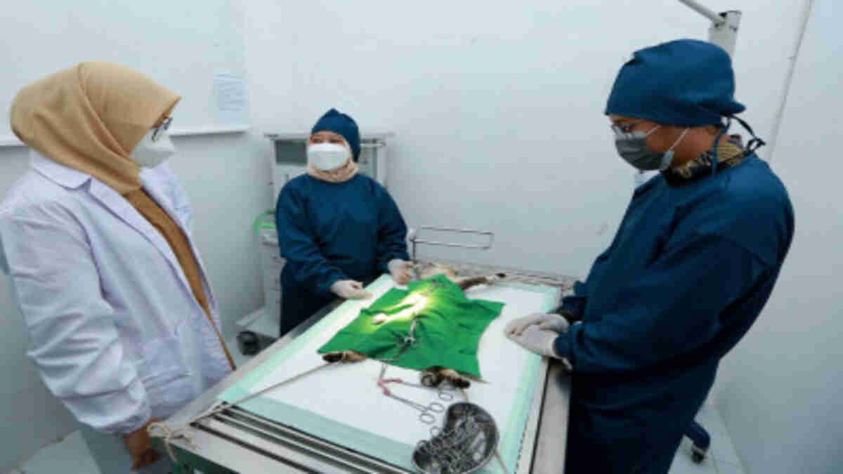 Banyuwangi Kini Miliki Rumah Sakit Khusus Hewan