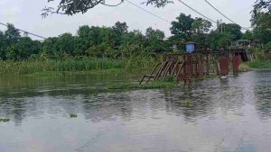 Langkah Awal Perbaikan Jembatan Mrican Dimulai, Pemkab Fokus Bebaskan 55 Petak Bidang Lahan