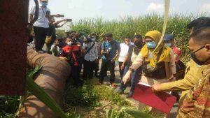 PN Kabupaten Kediri Gelar Sidang PS Sengketa Kades Jambean Vs PG Ngadirejo