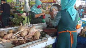 Harga Sayuran dan Daging Ayam di Kota Probolinggo Alami Kenaikan