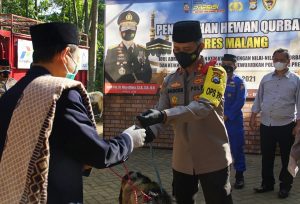 Kapolres Malang Serahkan Hewan Qurban untuk Warga yang Berhak Menerima