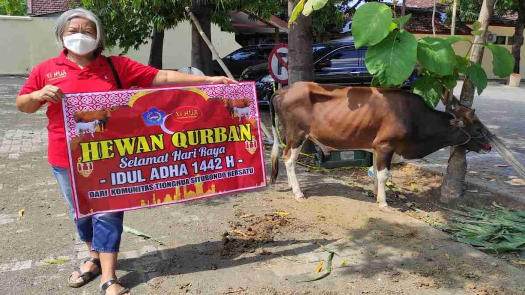 Komunitas Tionghoa Situbondo Sumbang Sapi Kurban, Jadikan Momen Idul Adha untuk Berbagi kepada Sesama