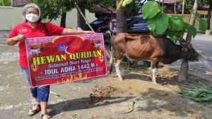 Komunitas Tionghoa Situbondo Sumbang Sapi Kurban, Jadikan Momen Idul Adha untuk Berbagi kepada Sesama