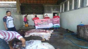 PDI Perjuangan Banyuwangi Distribusikan 1200 Paket Daging Kurban