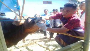 PPKM Darurat Berdampak Pada Penjualan Hewan Kurban, Sehari Pedagang Hanya Bisa Jual 3 Ekor Kambing