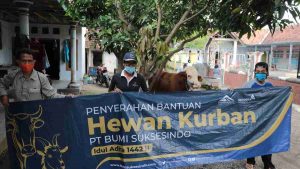 PT BSI Bagikan Ratusan Hewan Kurban dan Ratusan Sembako Bagi Isoman