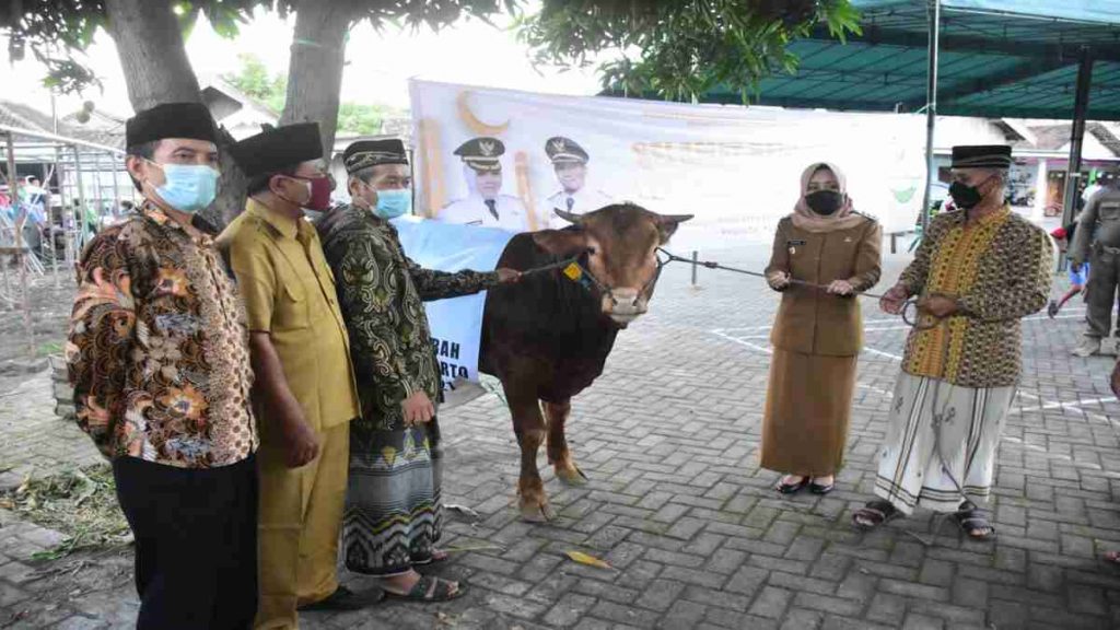 Pemkab Mojokerto Serahkan 18 Ekor Sapi Kurban