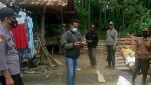 Polhutmob dan Polsek Pesangaran Amankan Kayu Jati Illegal Logging