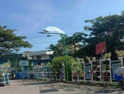 PU Pengairan Banyuwangi Buat Taman Vertikal di Jembatan-Jembatan, Ini Fungsinya