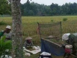 Wanita Paruh Baya Tewas Saat ‘Ngasak’ di Sawah