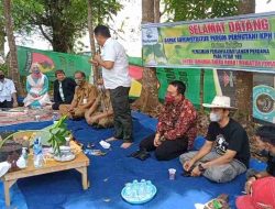 Dukung Budidaya Porang di Bondowoso, Disperta Support Sertifikasi Bibit, Perhutani Siapkan Lahan 18 Ha