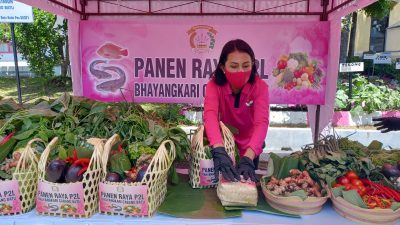 Ketua Bhayangkari Cabang Batu Ikut Panen Raya Sayuran Organik Hasil dari P2L