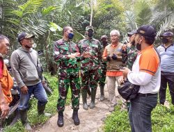 Dansatgas Bencana Alam Semeru Tinjau Lokasi Relokasi Pengungsi di Desa Ora-oro Ombo