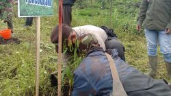 Polsek Poncokusumo Dukung Program Gerakan Tanam 100 Ribu Pohon