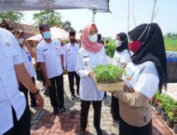 Banyuwangi Kembangkan Program Sistersay Bagi KWT
