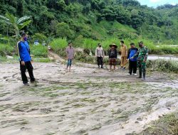Dampak Banjir, 63 Hektar Lahan Pertanian Terancam Gagal Panen