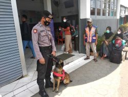 Antisipasi Tindak Kriminal Terhadap Pemudik, Polres Malang Turunkan 2 Anjing Pelacak